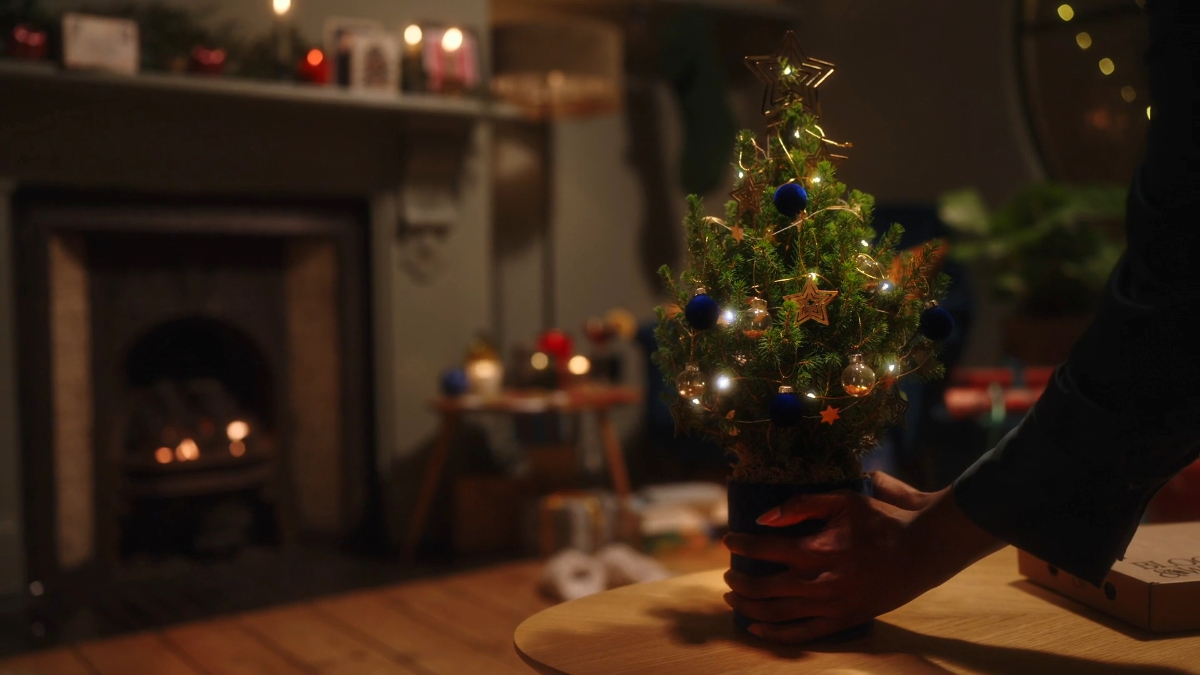 Tiny Trees 2024 - image 1