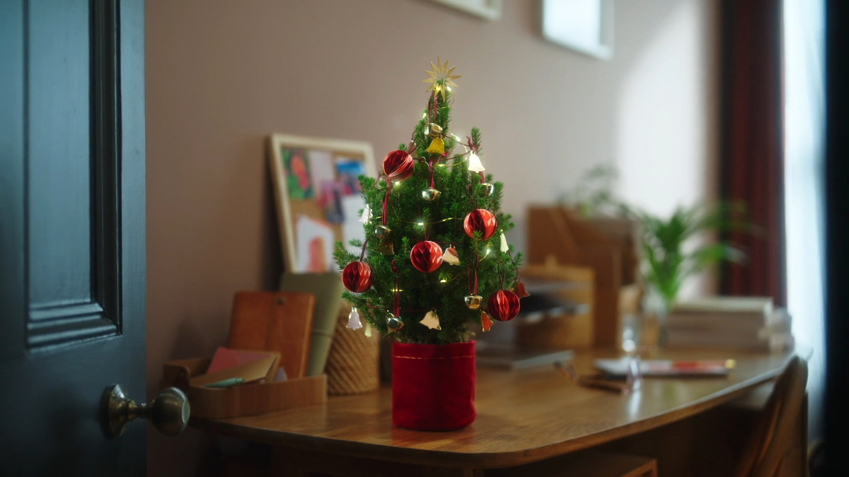 Tiny Trees 2024 - image 5