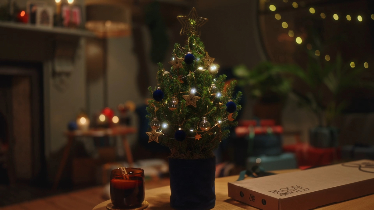 Tiny Trees 2024 - image 6